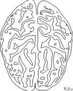 cerebrum Coloring Pages To Print